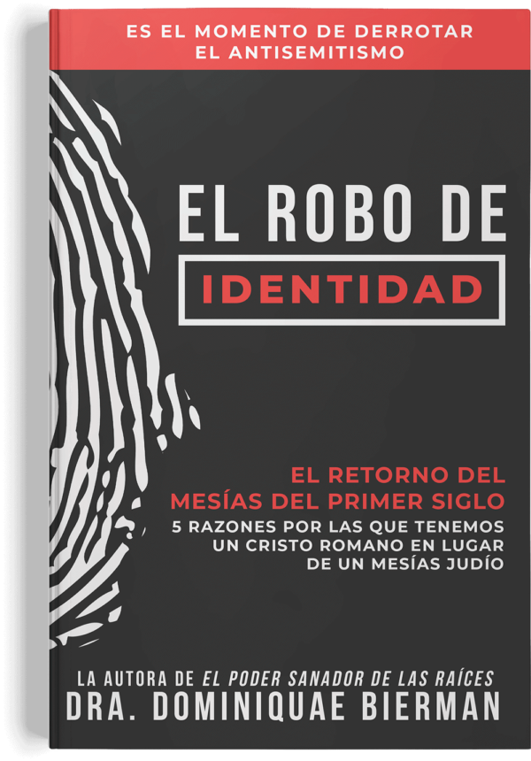 El Robo de Identidad (Edición en papel)