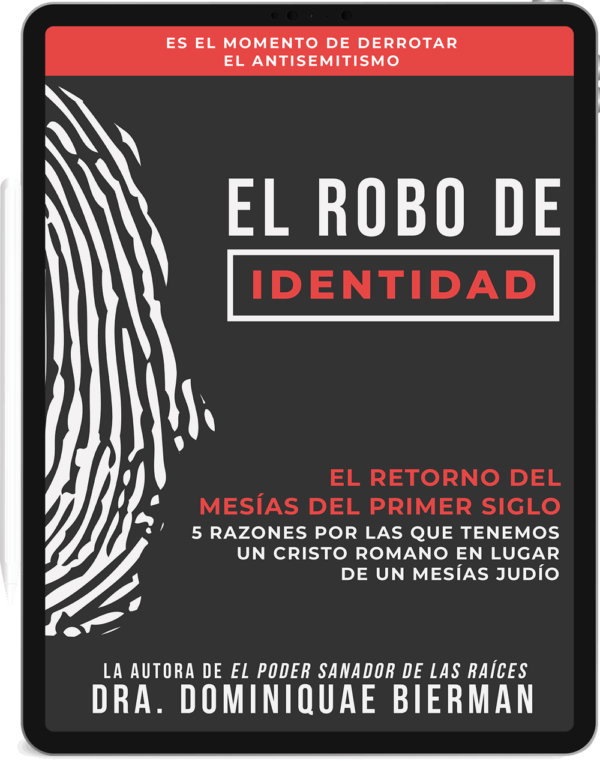 Libro Electrónico El Robo de Identidad