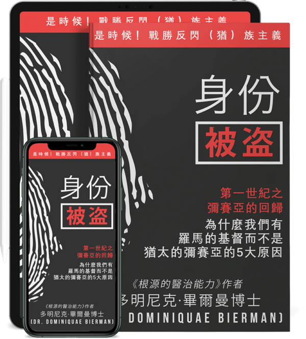 身份被盜電子書