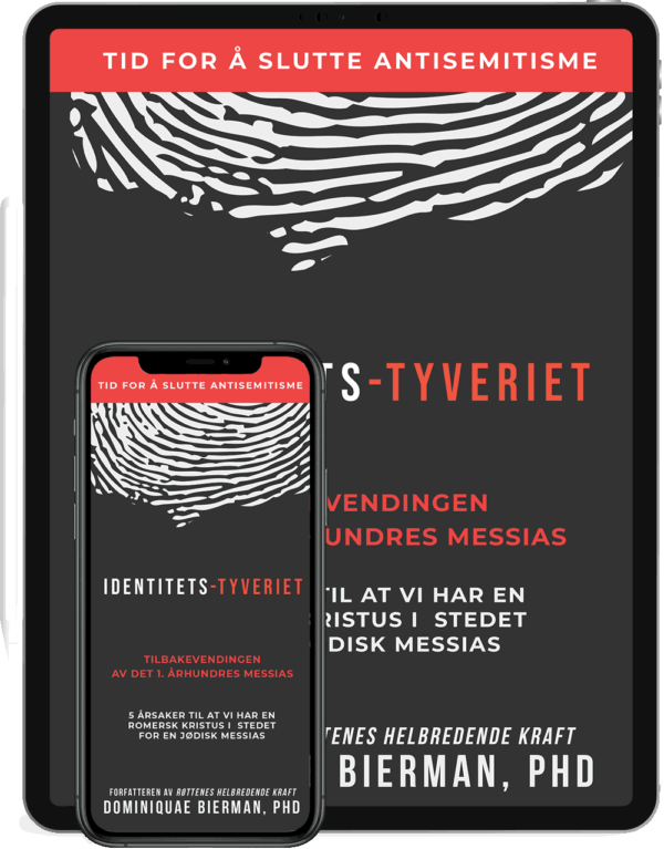 Identitets Tyveriet E-Book
