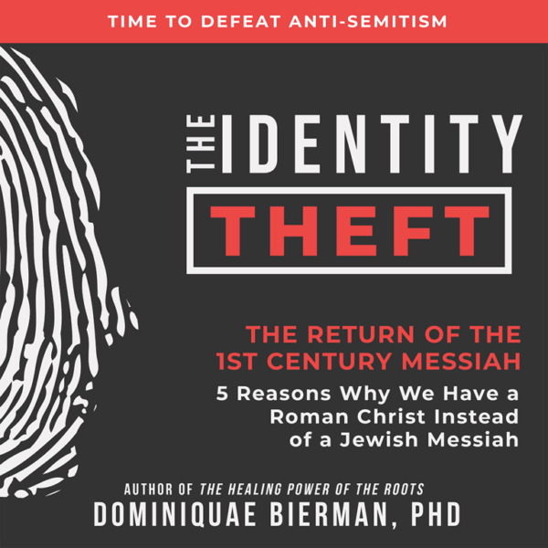 The Identity Theft audiobook